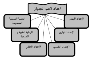 الاعداد البدني في الجمباز